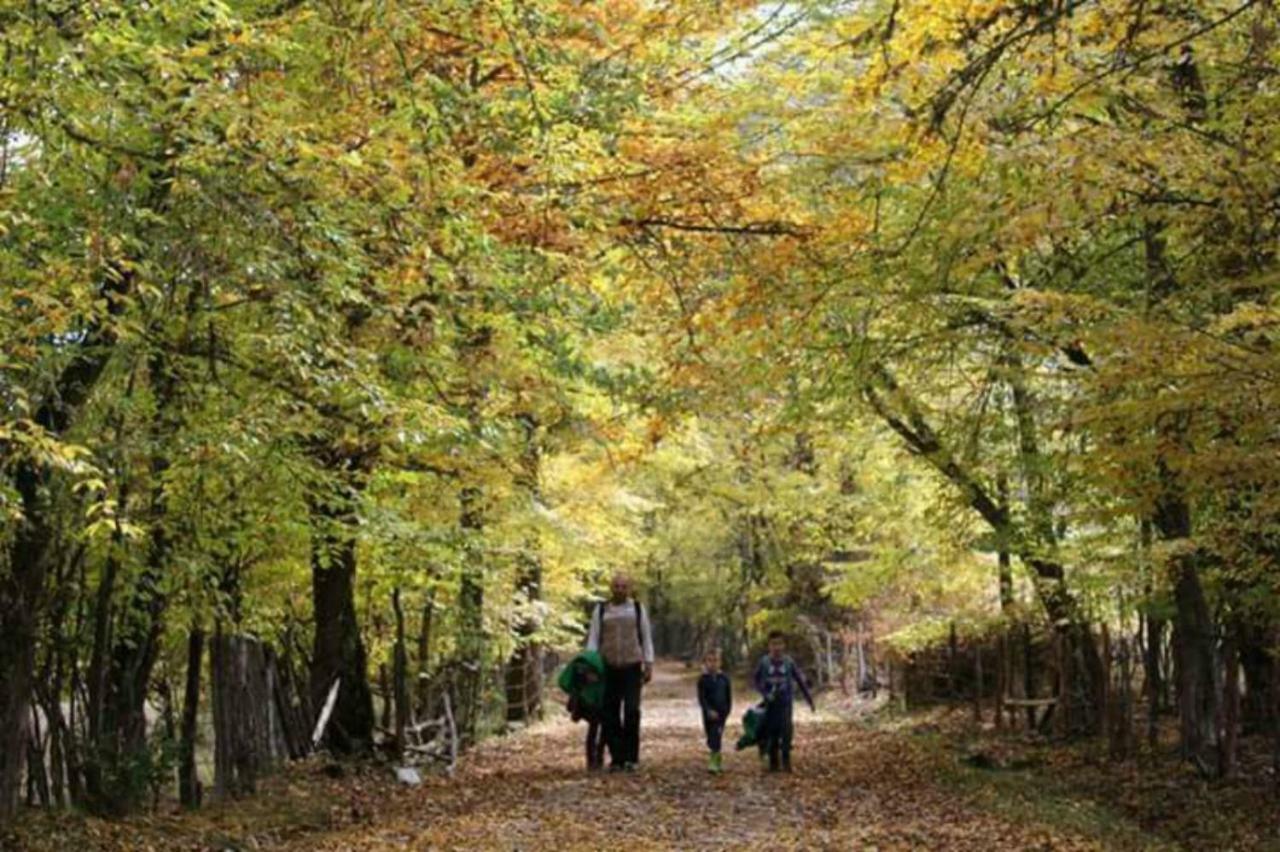 Seoski Turizam Zilicina Rogatica 외부 사진